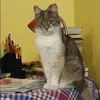 Отзыв от Виктория Сотникова